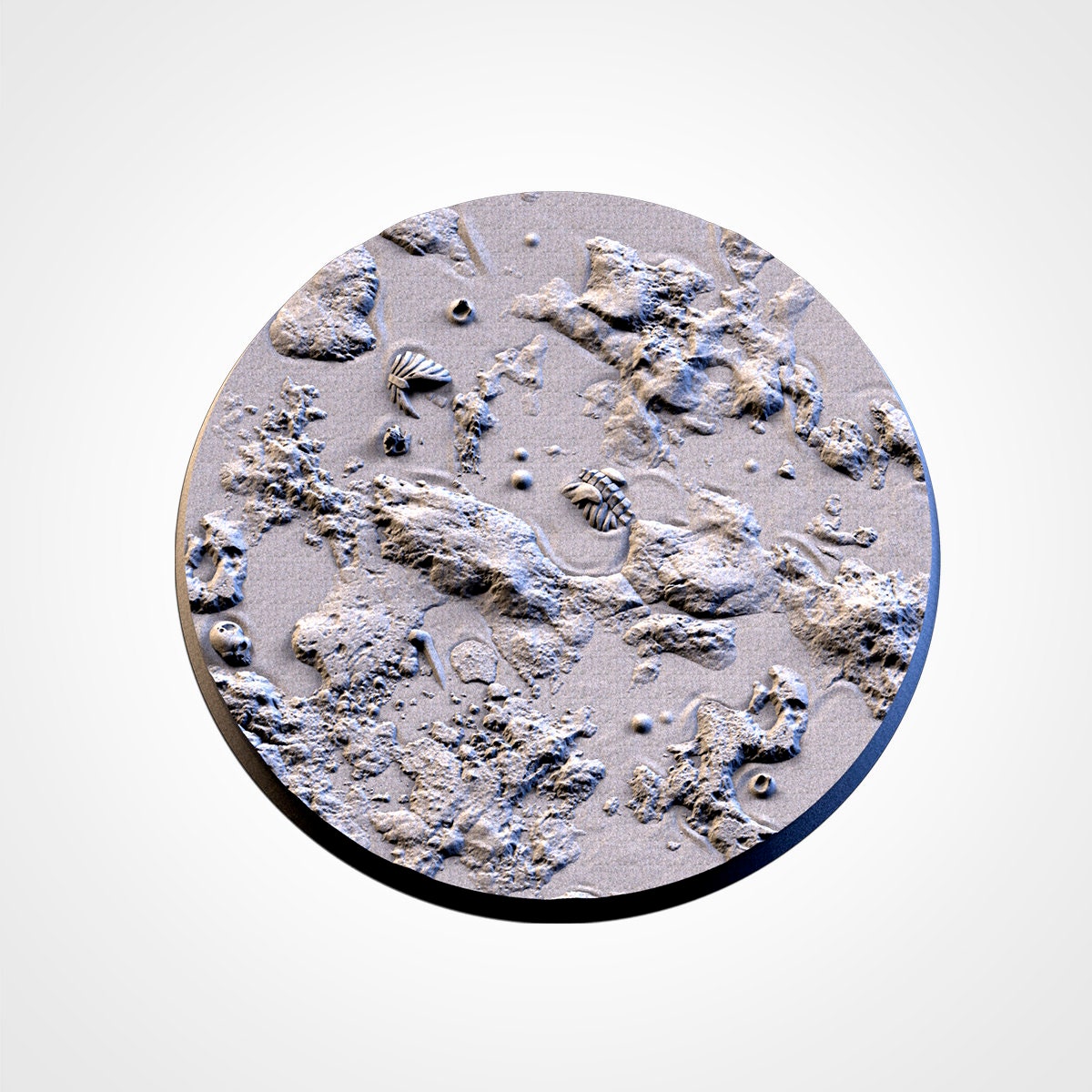 Swamp bases various sizes